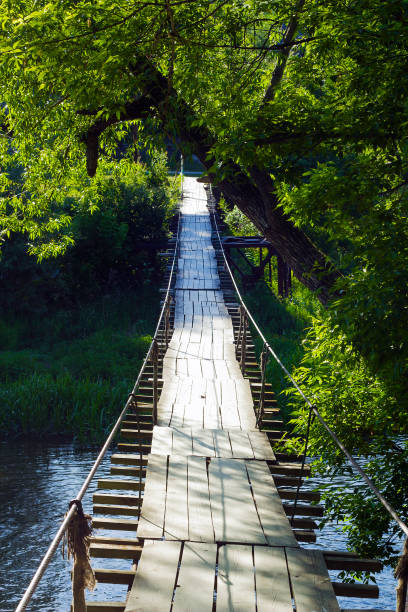 Rope bridge in the rainforest of the Dominican Republic