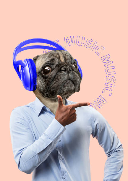 istock Meloman. Modern design. Contemporary art collage. 1139039211