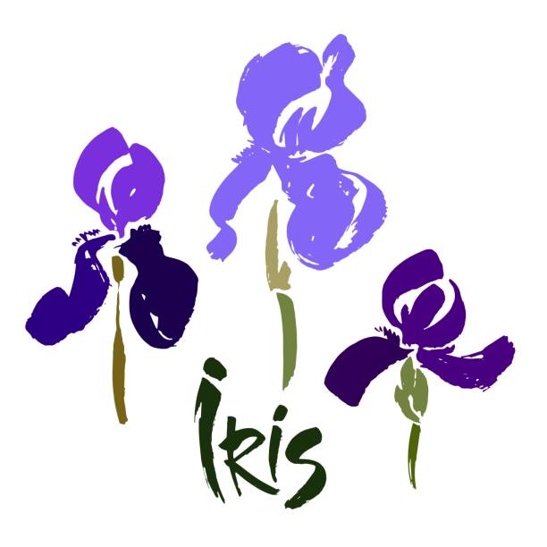 kwiat wektorowy. kwiatowe tło. atrament kaligrafii. stylizowana kaligraficzna przysłona atramentu. - iris ink and brush sign flower stock illustrations