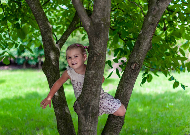 little beautiful girl is playing and posing on the tree