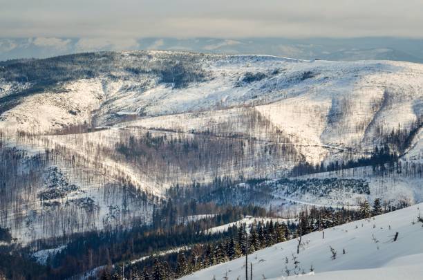 istock Beautiful winter fairytale landscape. 1139040665