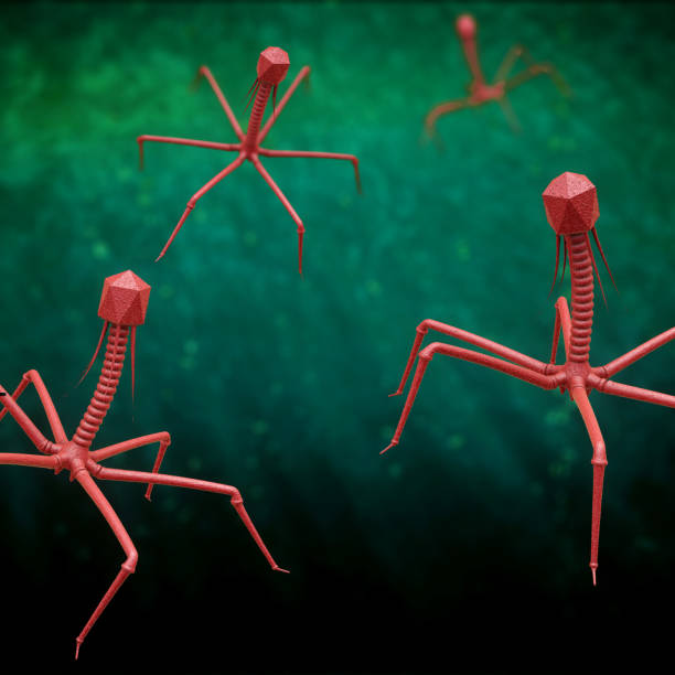 istock Bacteriophage or phage virus in red on green background - 3d illustration 1139041835