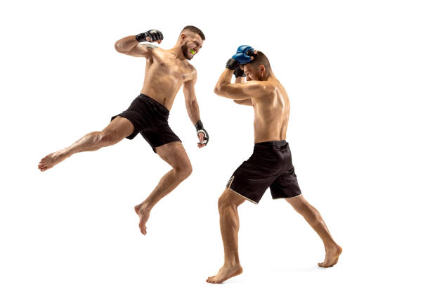 Two professional boxers boxing isolated on white studio background MMA. Two professional fightesr punching or boxing isolated on white studio background. Couple of fit muscular caucasian athletes or boxers fighting. Sport, competition, excitement and human emotions concept mixed martial arts photos stock pictures, royalty-free photos & images