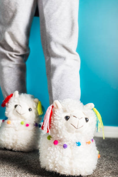 istock Young girl is wearing cute soft 3d llama slippers 1139045157