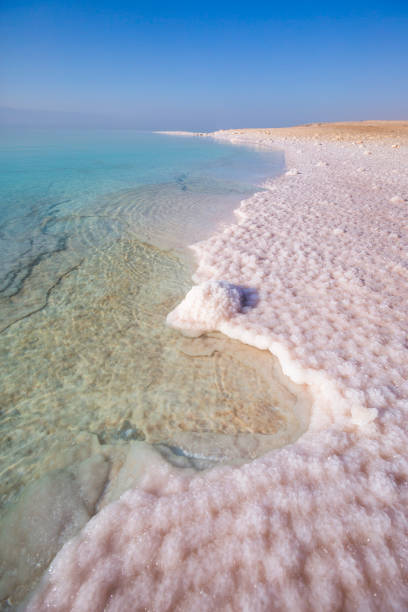 istock Salt on the shore. Dead Sea. Jordan landscape 1139045279