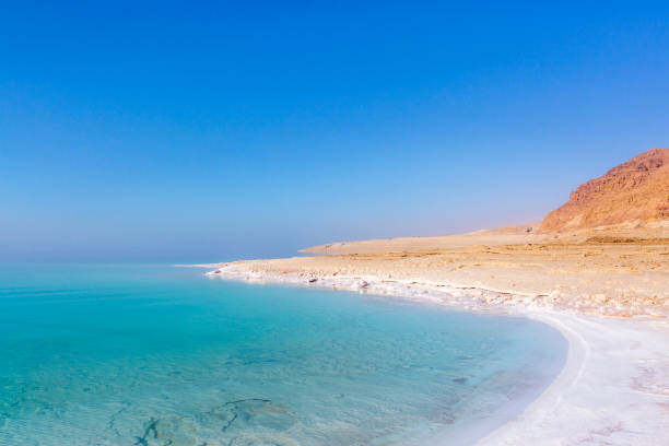 istock Salt on the shore. Dead Sea. Jordan landscape 1139045408