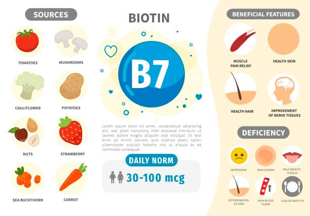 illustrations, cliparts, dessins animés et icônes de infographics vitamine b7. - raw potato organic human skin food