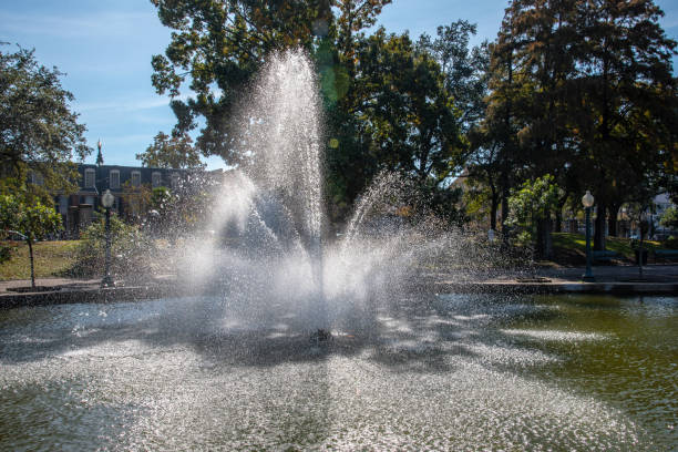 istock Fountain at the Armstrong park in NOLA 1139051355
