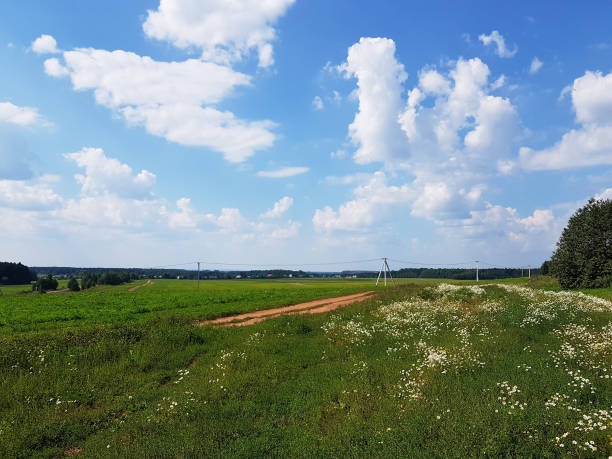 istock Beautiful rural summer landscape 1139051368