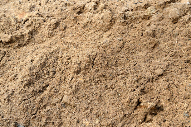 istock Large pile of construction sand close up as texture and background 1139054587