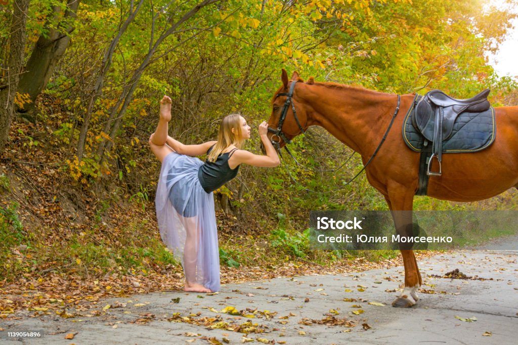 young beautiful dancer, posing with a horse in the Woods, flexible gymnast. young beautiful dancer, posing with a horse in the Woods, flexible gymnast. in the forest James Bond Stock Photo