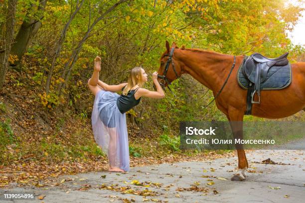 Young Beautiful Dancer Posing With A Horse In The Woods Flexible Gymnast Stock Photo - Download Image Now