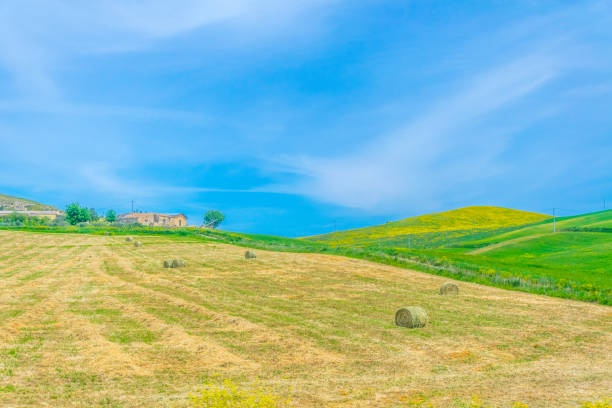 istock nature in the central Sicily, Italy 1139060068