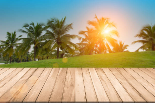 istock Side view empty wooden table in green spring or garden summer picnic on nature. 1139060370