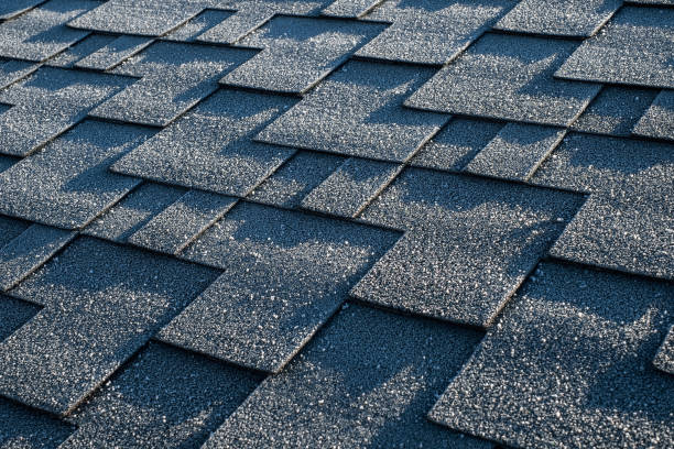 istock Close up view on asphalt roofing shingles covered with frost 1139061737