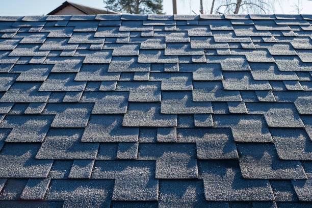 istock Close up view on asphalt roofing shingles covered with frost 1139062133