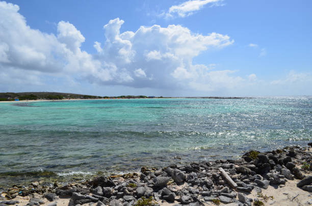 istock Baby Beach in Aruba 1139064292