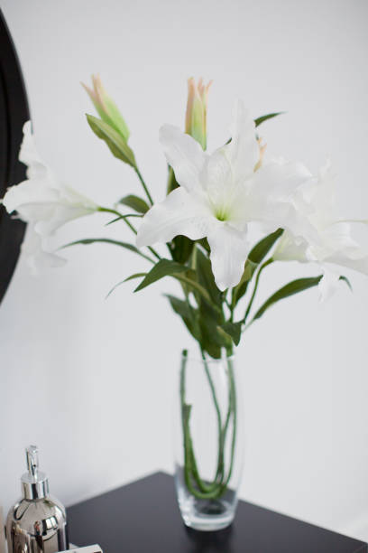 istock white lily in a glass vase 1139067340