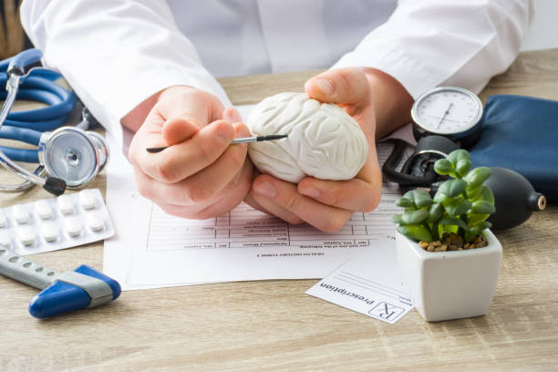 no médico da nomeação dos doutores mostra à forma paciente do cérebro com foco na mão com órgão. cena explicando causas do paciente e localização de doenças do cérebro, nervos e sistema nervoso - tumor - fotografias e filmes do acervo