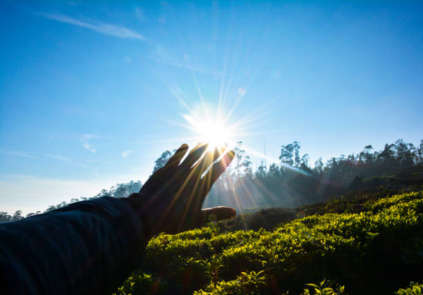 istock Renewable energy of the sun 1139068683