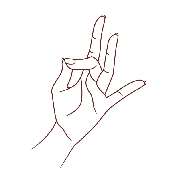 Shuni mudra. Yogic hand gesture. Vector. Isolated on white background Shuni mudra. Yogic hand gesture. Vector. Isolated on white background mudra stock illustrations