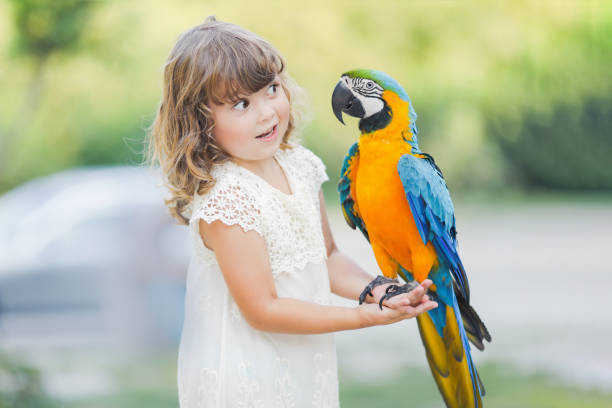 istock Little girl with macaw parrot 1139070593