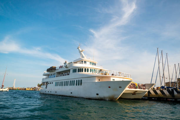 Cabo San Lucas, Mexico - January 16, 2018: Cabo San Lucas Marina with luxury yachts, ferries and fishermen's boats.