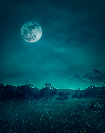Landscape of dark night sky with clouds. Beautiful bright full moon above wilderness area in forest, serenity nature background. Outdoors at nighttime. The moon taken with my own camera.