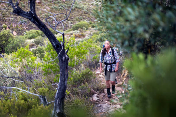 istock Fit young woman on a mountain hike 1139081659