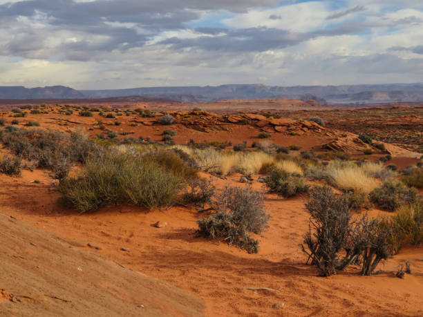 istock Horseshoe Bend, Arizona Vistas 1139082367