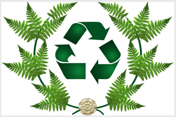 istock Diploma  Environment  Ecology  Recycling 1139083671