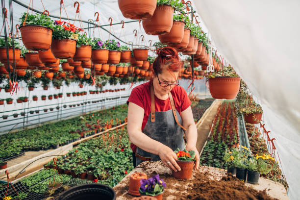 istock Woman in flower garden 1139086026