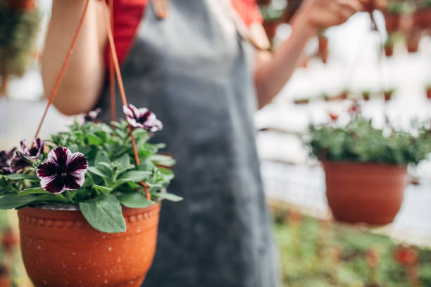 istock Woman in garden 1139087176