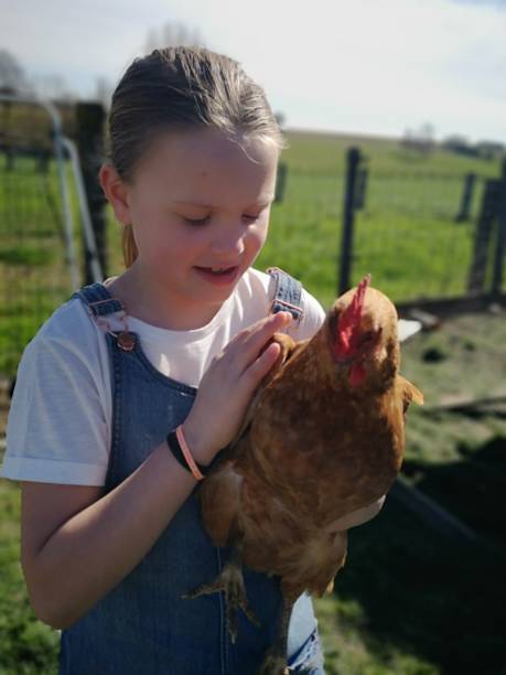 istock country girl with a red chicken 1139088683