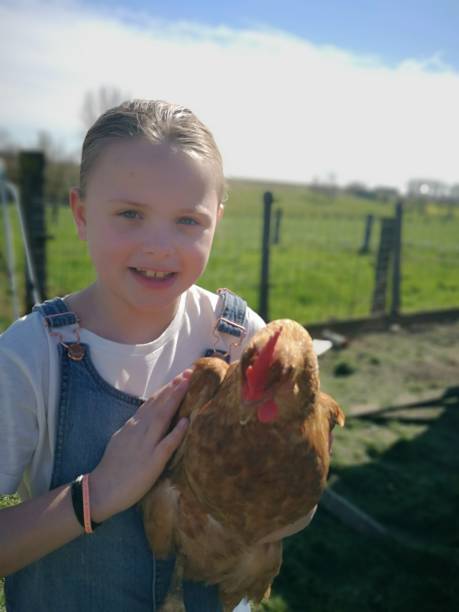 istock country girl with a red chicken 1139088711