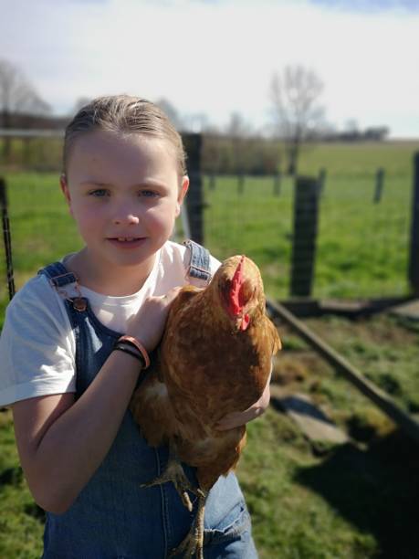istock country girl with a red chicken 1139088844