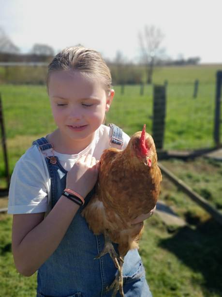 istock country girl with a red chicken 1139088867