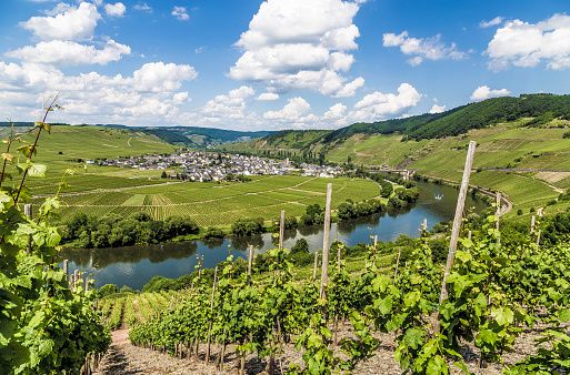 Moselle Loop at Trittenheim Rhineland-Palatinate Germany