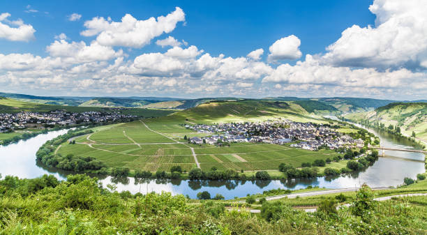 mosela loop en trittenheim renania-palatinado alemania - trier fotografías e imágenes de stock