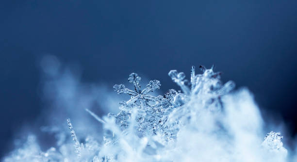 istock natural snowflakes on snow, winter 1139092147