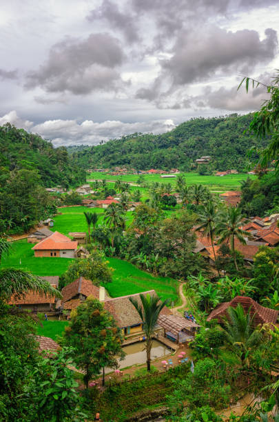 istock Beautiful Field at Village 1139095422