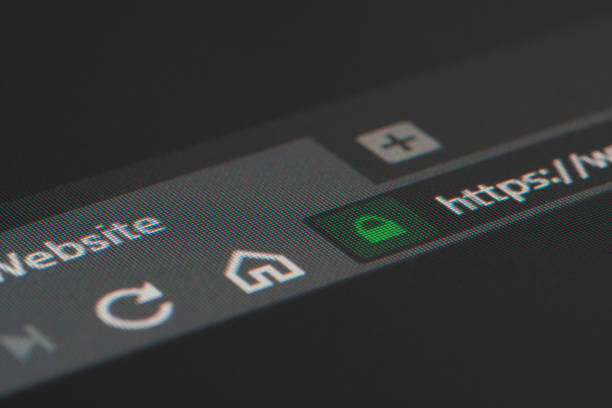 веб-браузер крупным планом на lcd экране с мелким акцентом на https замок - cyberspace www internet web page стоковые фото и изображения