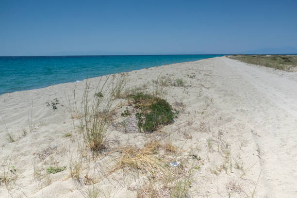 istock Famous Beach at Possidi Cape, Kassandra Peninsula, Chalkidiki, Greece 1139099662