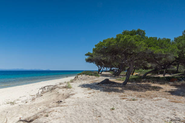 istock Lagoon Beach at Kassandra Peninsula, Chalkidiki, Greece 1139100019