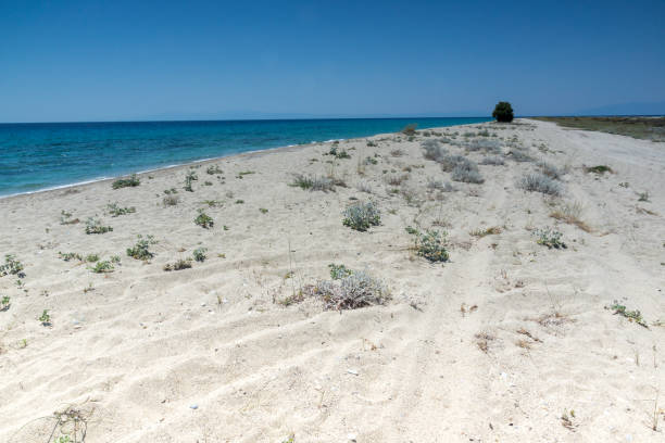 istock Famous Beach at Possidi Cape, Kassandra Peninsula, Chalkidiki, Greece 1139100056