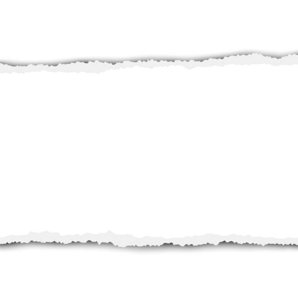istock Torn, snatched piece of white paper from left to right with soft shadow. Vector template design. Paper mockup. 1139104569