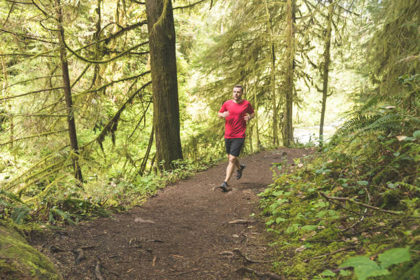 istock Male athlete trail running in forest 1139104613