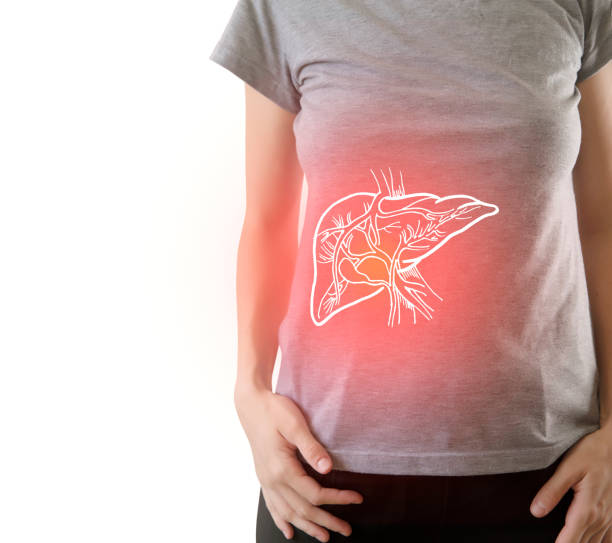 Digital composite of  painful  liver of woman highlighted red Digital composite of highlighted painful  liver of woman / healthcare & medicine concept body part photos stock pictures, royalty-free photos & images