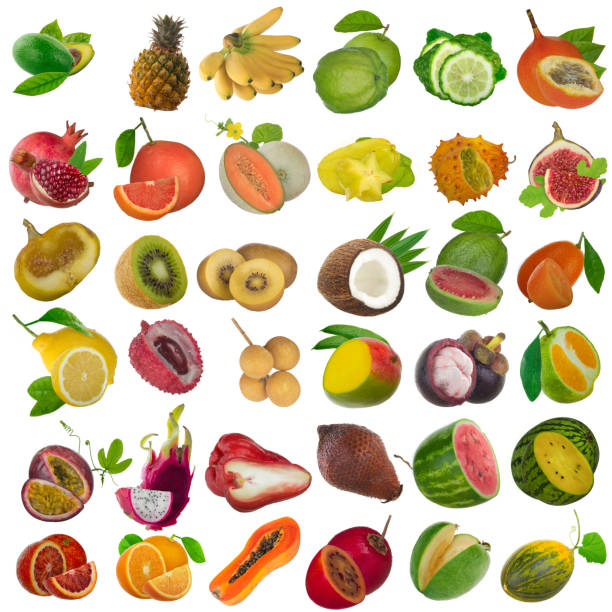 set of tropical fruits isolated