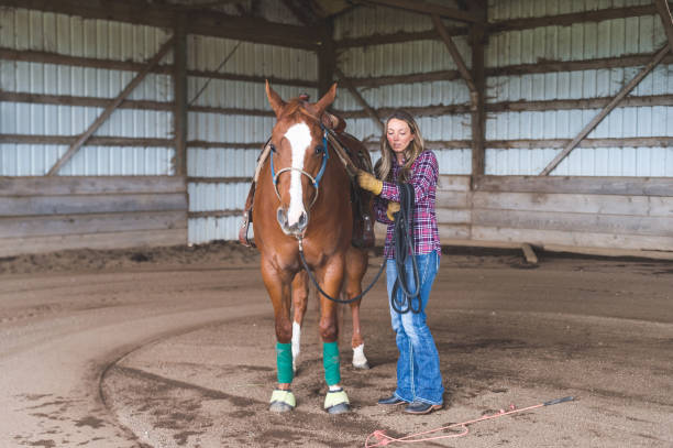 istock Woman training a horse 1139114377